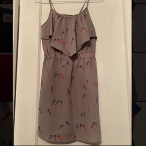 Size XS American Eagle dress